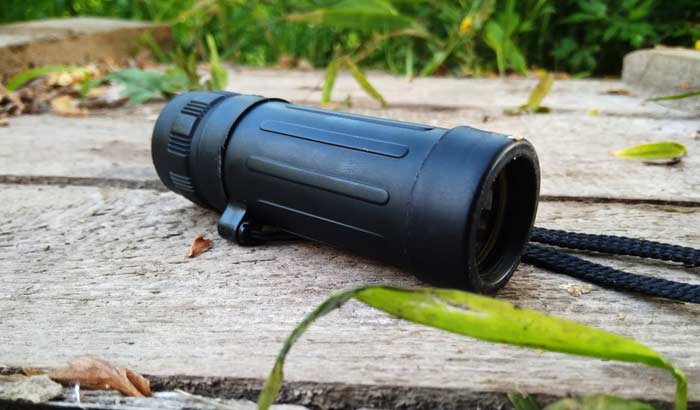 Reviews of the Monocular