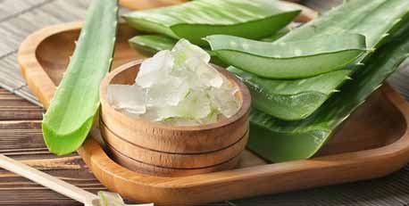 How to use Aloe Vera for the ED