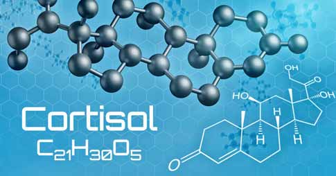 What are the Impacts when Cortisol is High