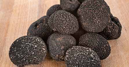 Difference Between White And Black Truffle