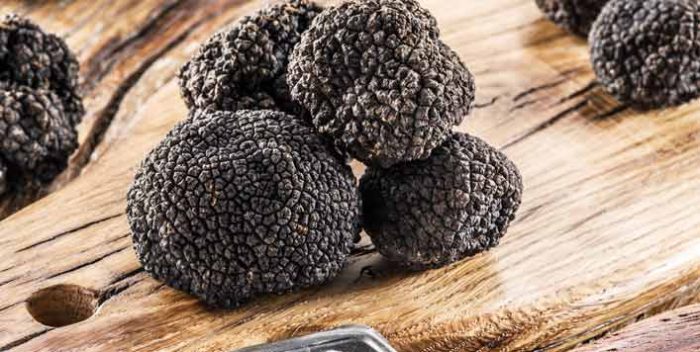What is The Difference Between White And Black Truffle