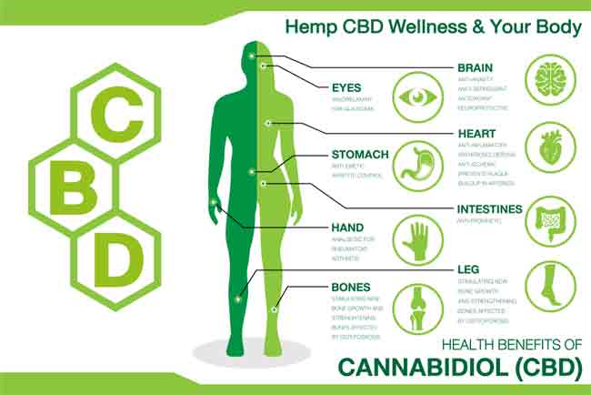 What are the Health Benefits of Cannabis