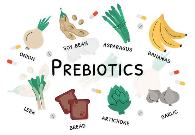 A Probiotic with Benefits & Controversies