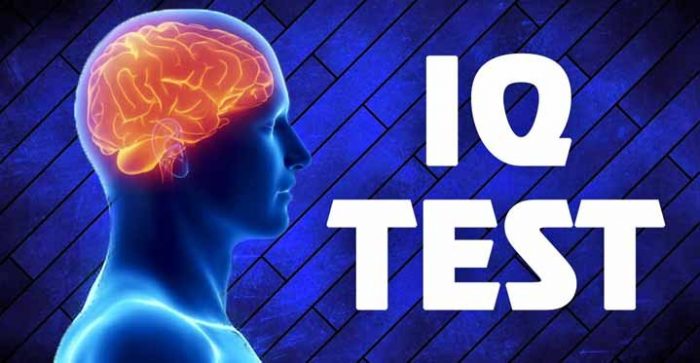 IQ TESTS and THEIR APPLICATIONS