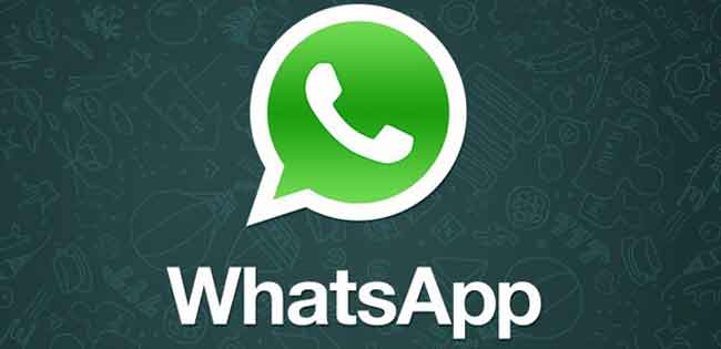 The Ultimate Guide to Moving Whatsapp gb